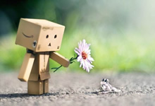 沃尔夫斯堡主教练赞扬球队表现，期待进一步努力