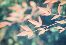 湖南稠州男篮势如破竹，让对手望风而逃