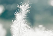 曼城新援表现出色，助球队取胜领跑积分榜