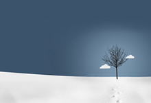 南美杯赛场上再现世界级比赛，球员表现出色