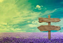 南美杯赛场上再现世界级比赛，球员表现出色