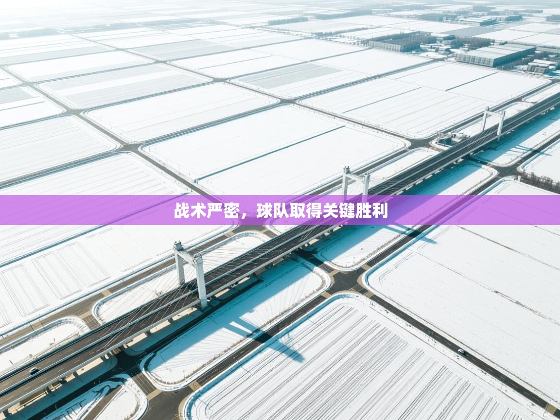 战术严密，球队取得关键胜利